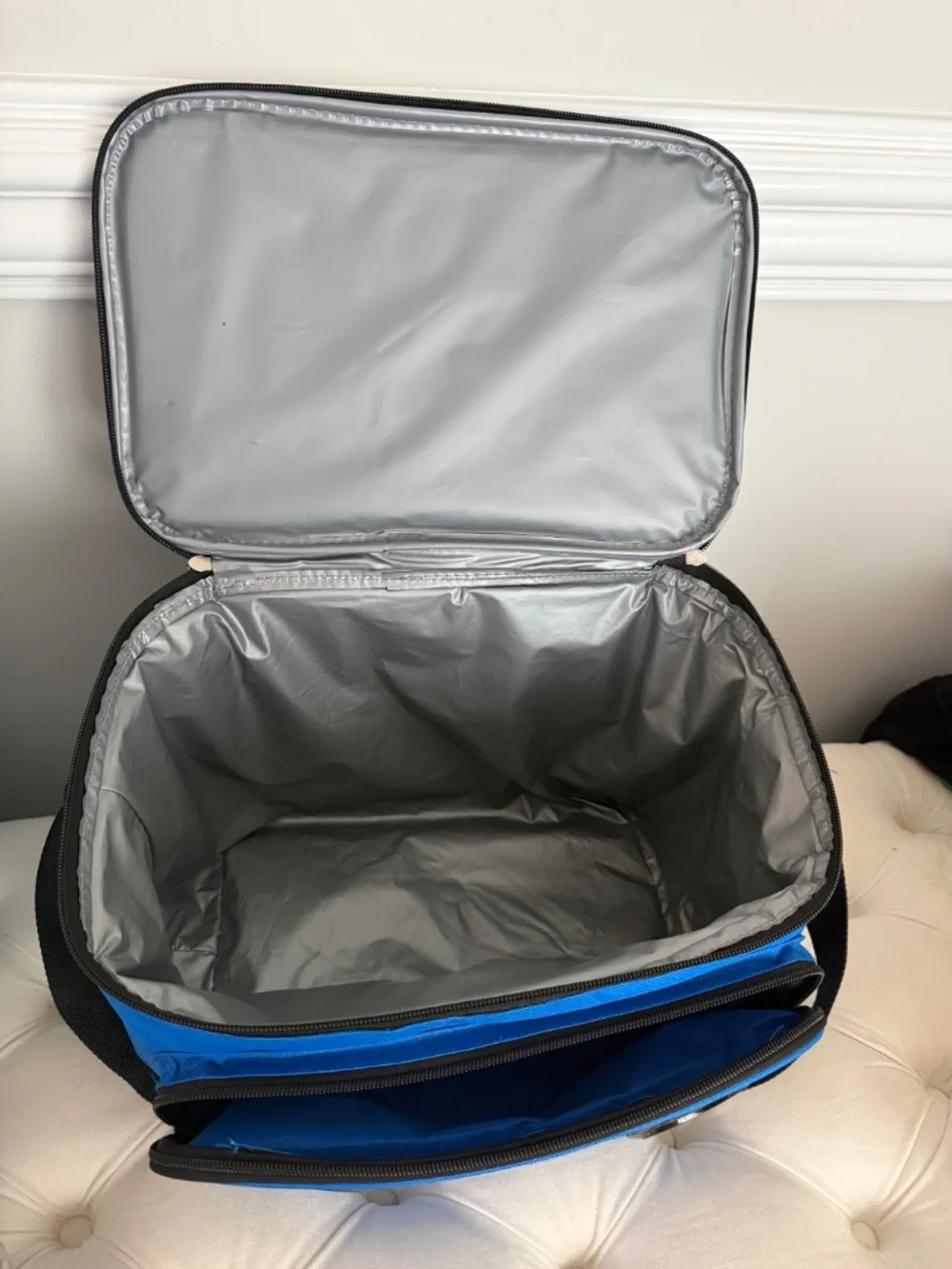 Budlight Bluetooth Compatible Cooler